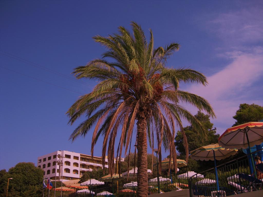 Romantza Mare Koskinou  Habitación foto
